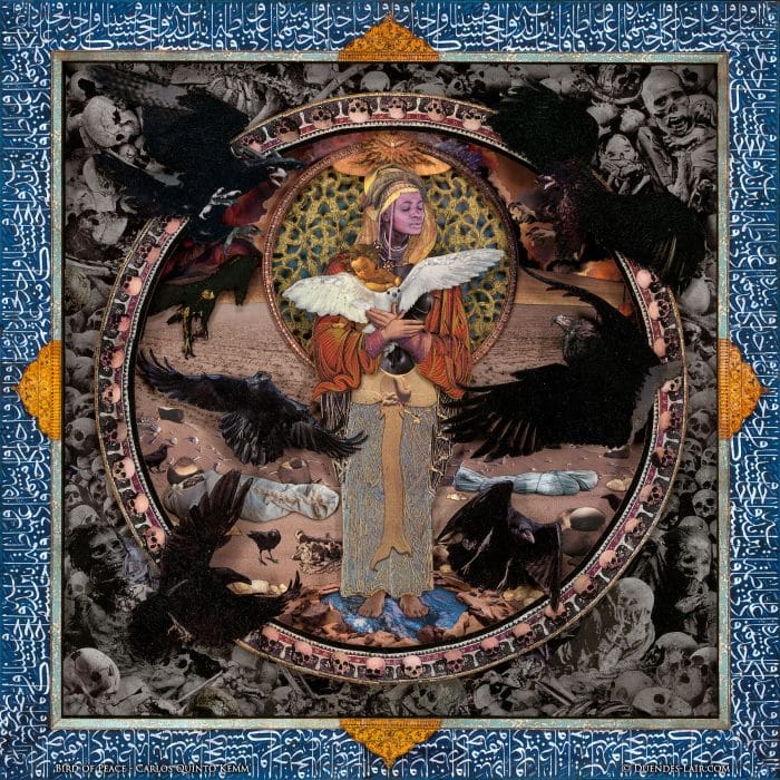 Bird of Peace - Fuji Flex