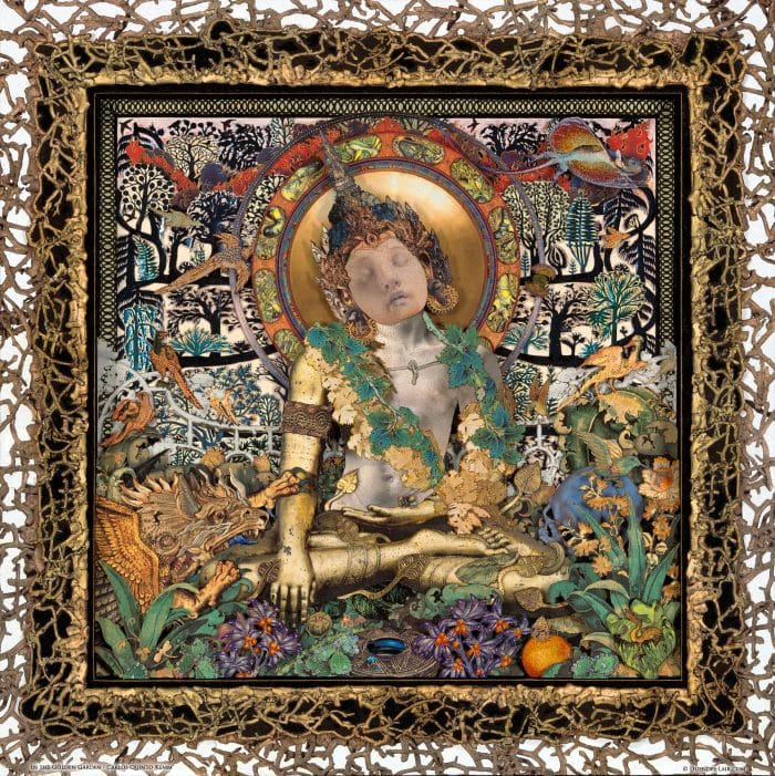 In the Golden Garden - Fuji Pearl