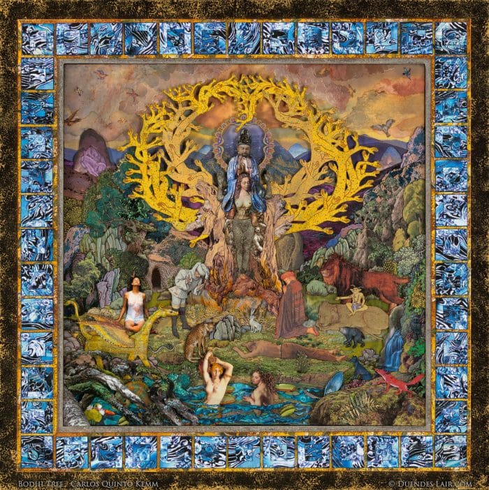 Bodhi Tree - Fuji Pearl